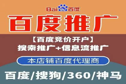 竞价广告的创意与执行：经典案例剖析